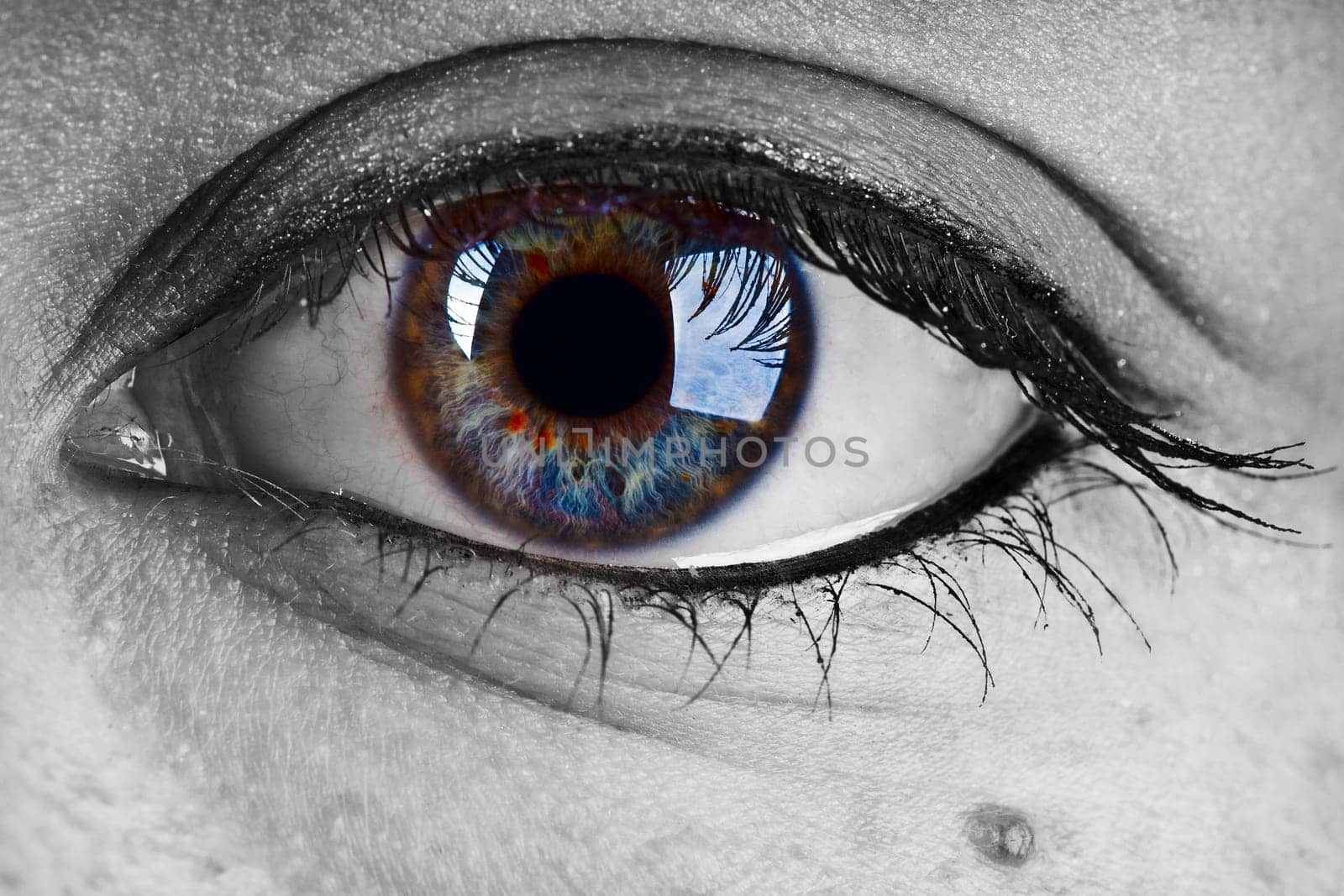 Female Eye