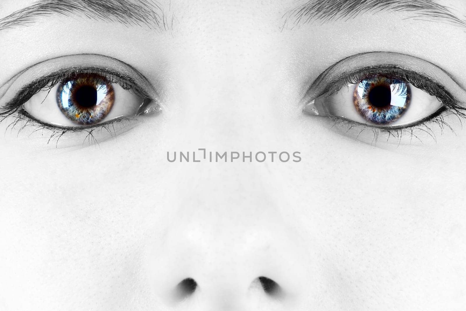 Shining Eyes
