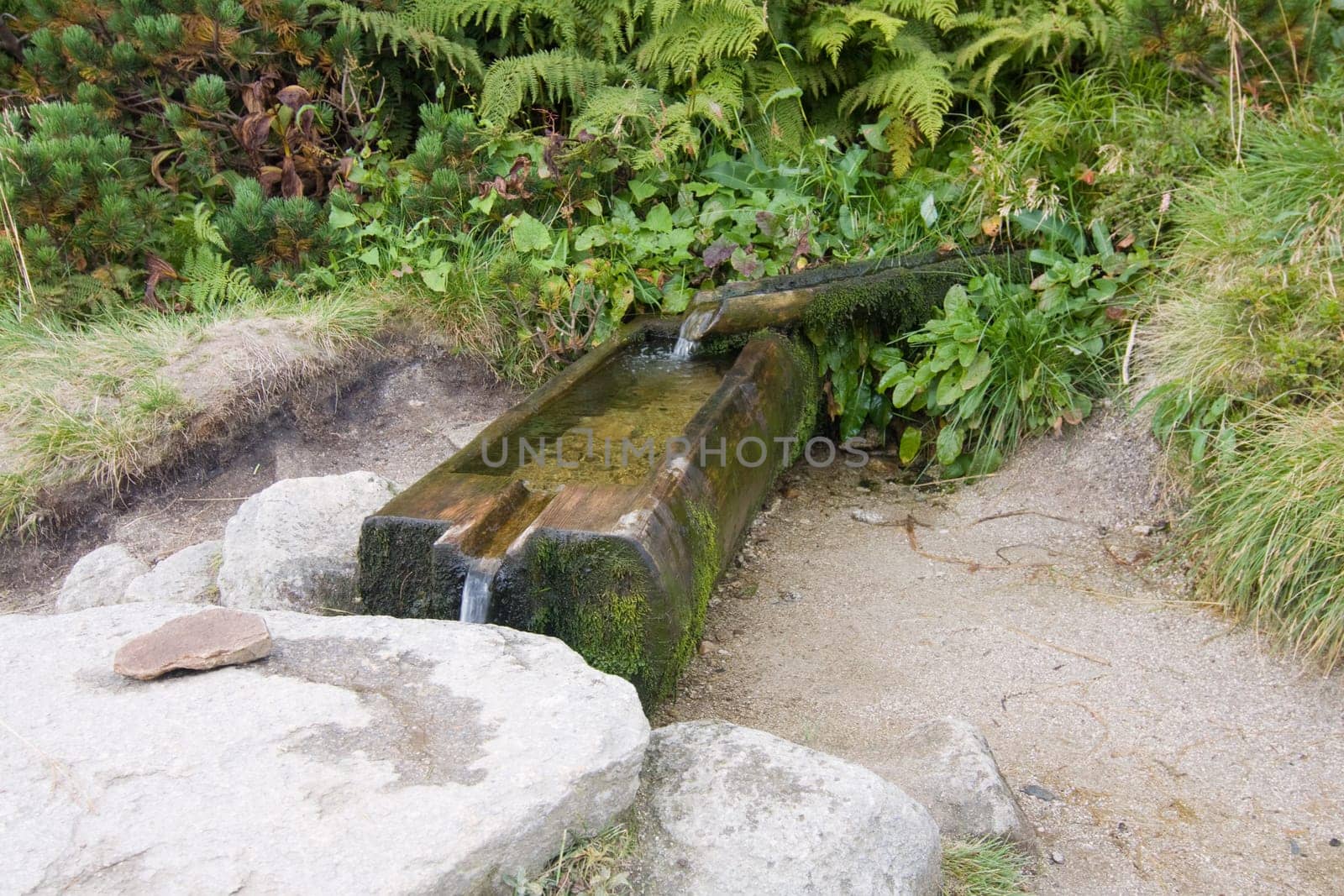 Water trough