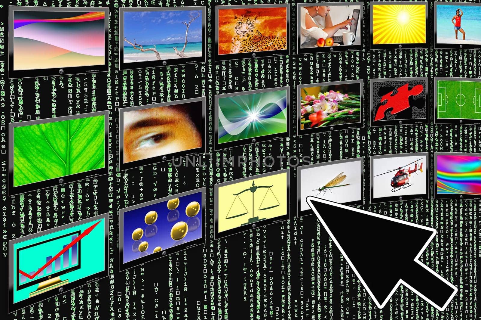 Web