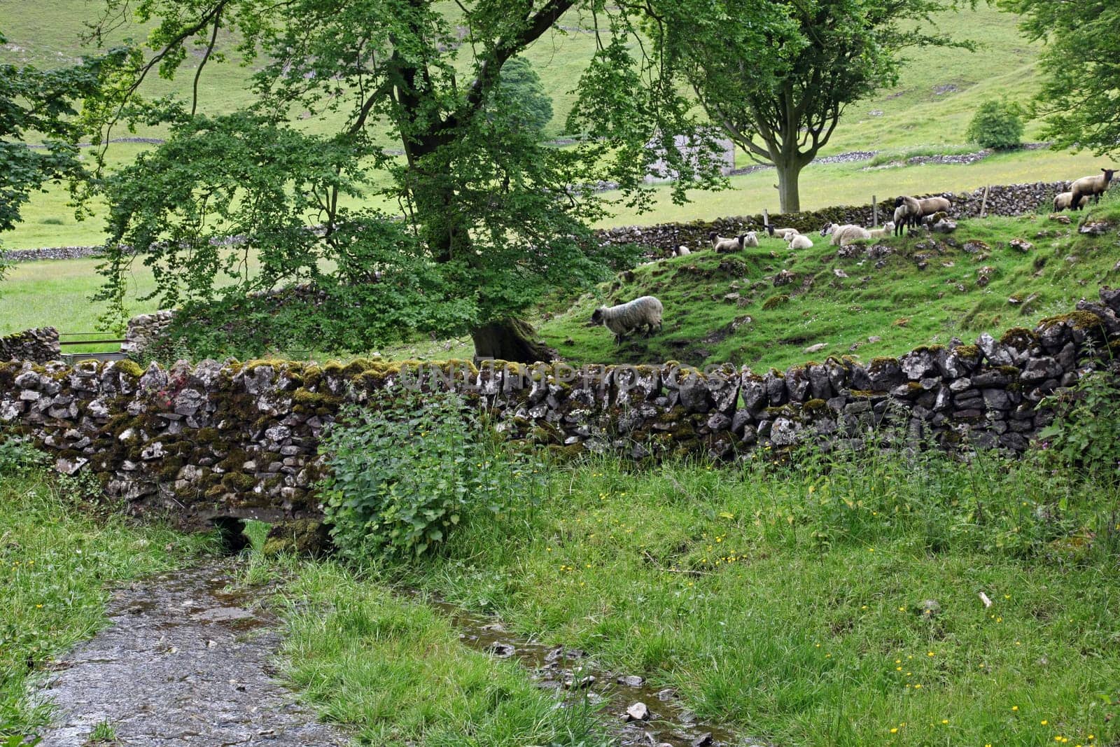 Dry stone wall in Derbyshire England