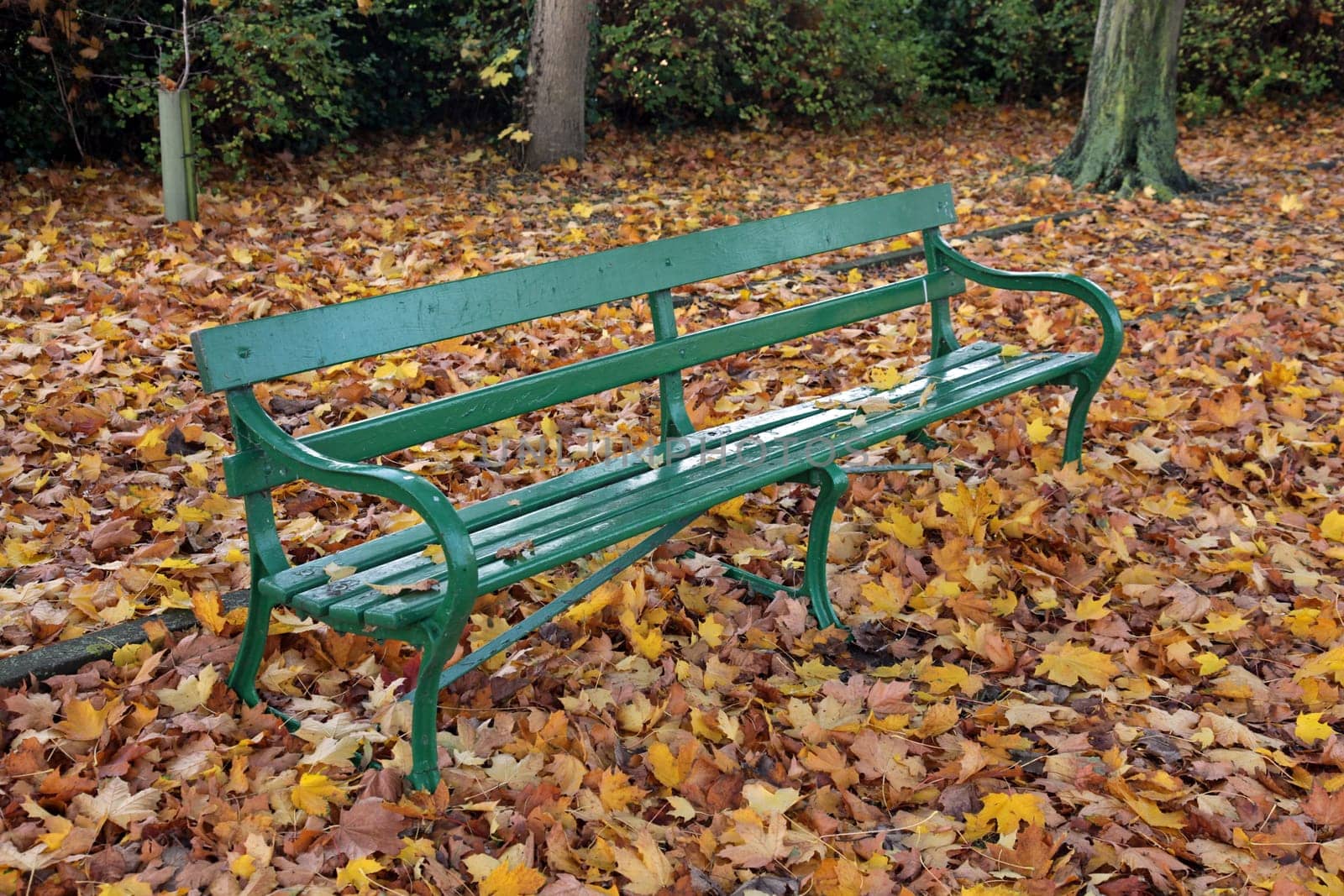Park bench in the autumn