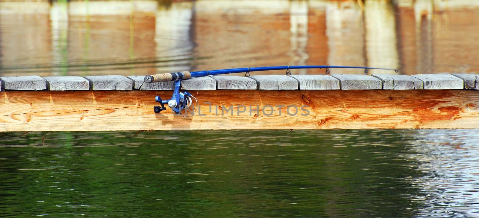 The Fishing Rod