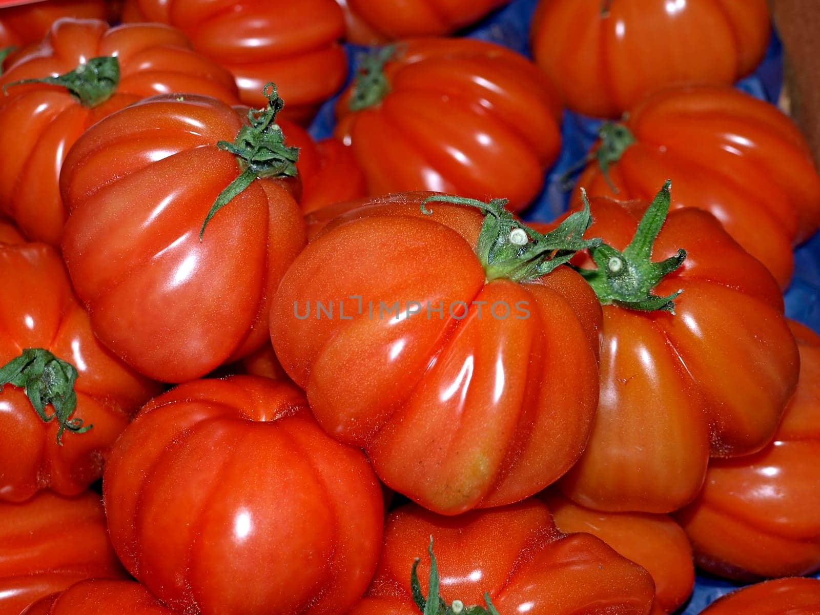 Tomato Bull's Eye