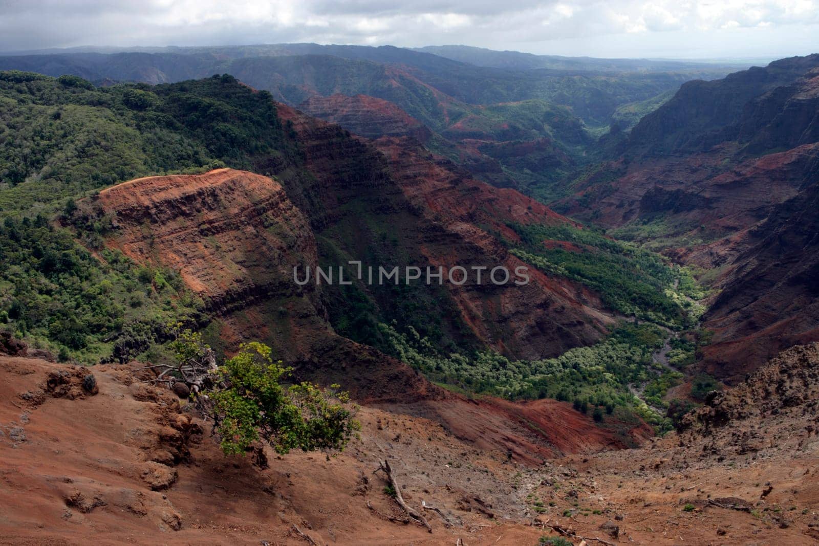 Waimea Canyon