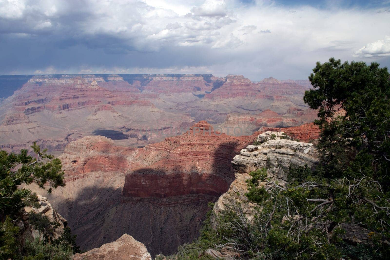 Grand Canyon Vista