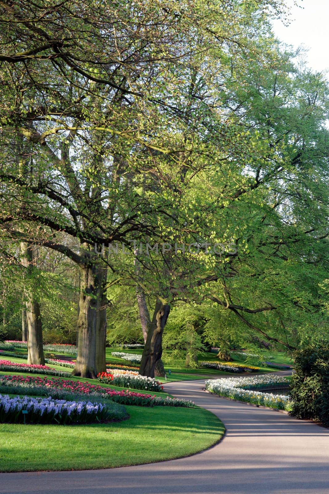 Flower Path