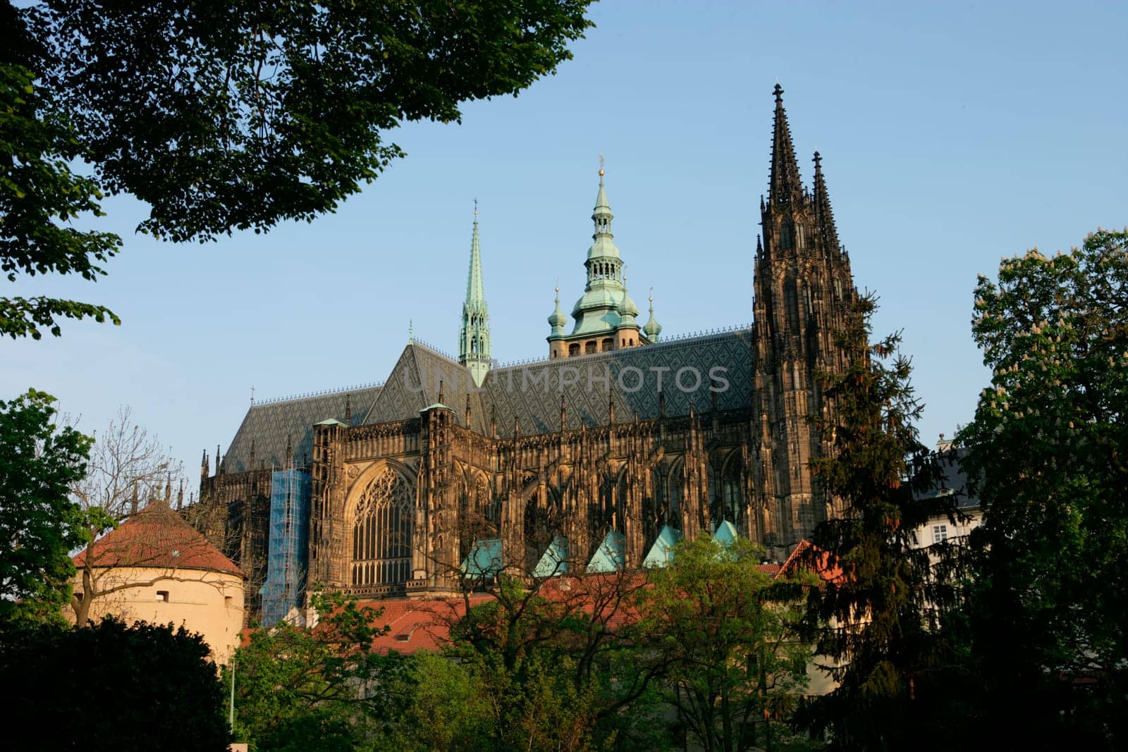 St. Vitus Cathedral