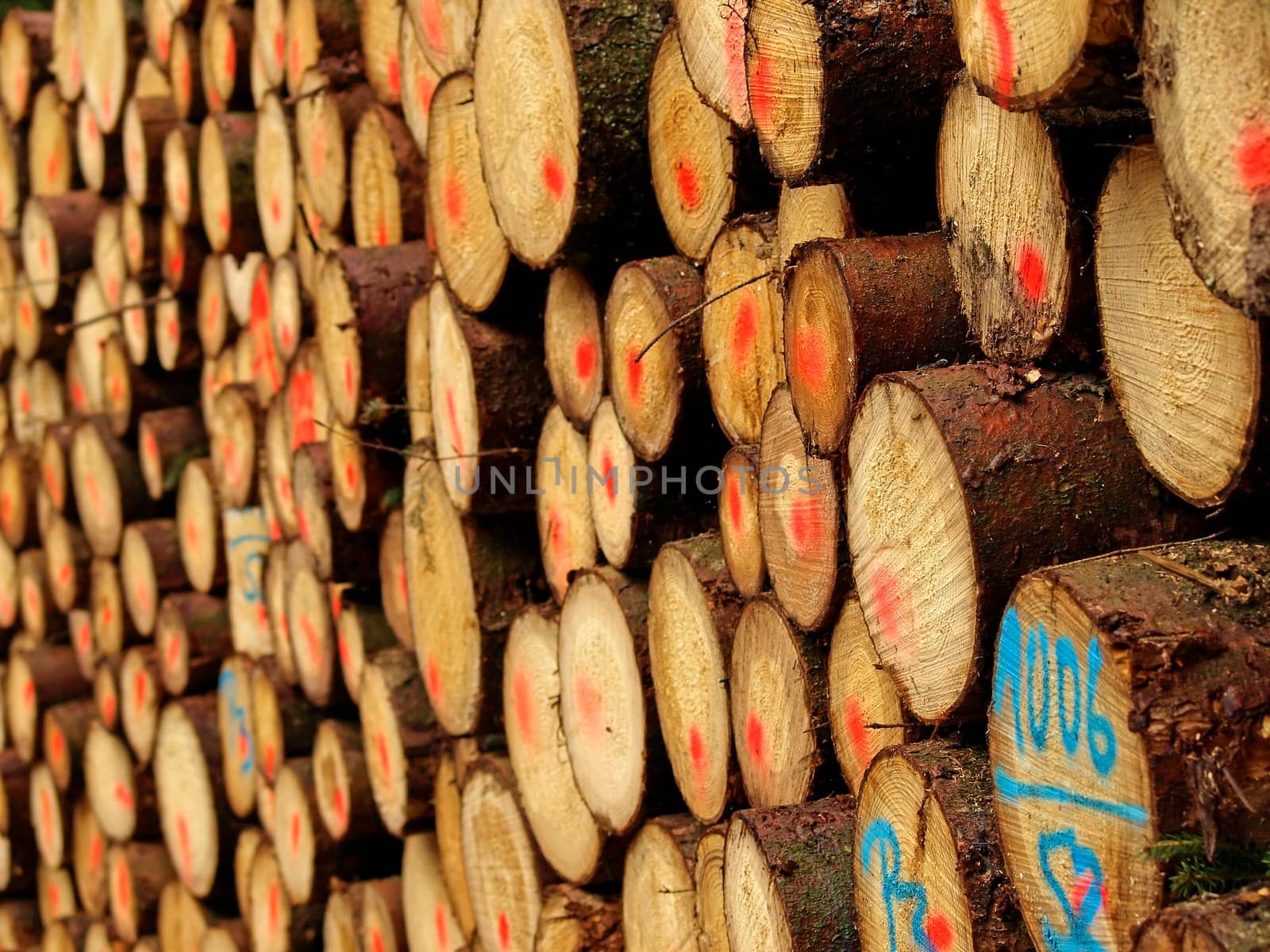Lumber