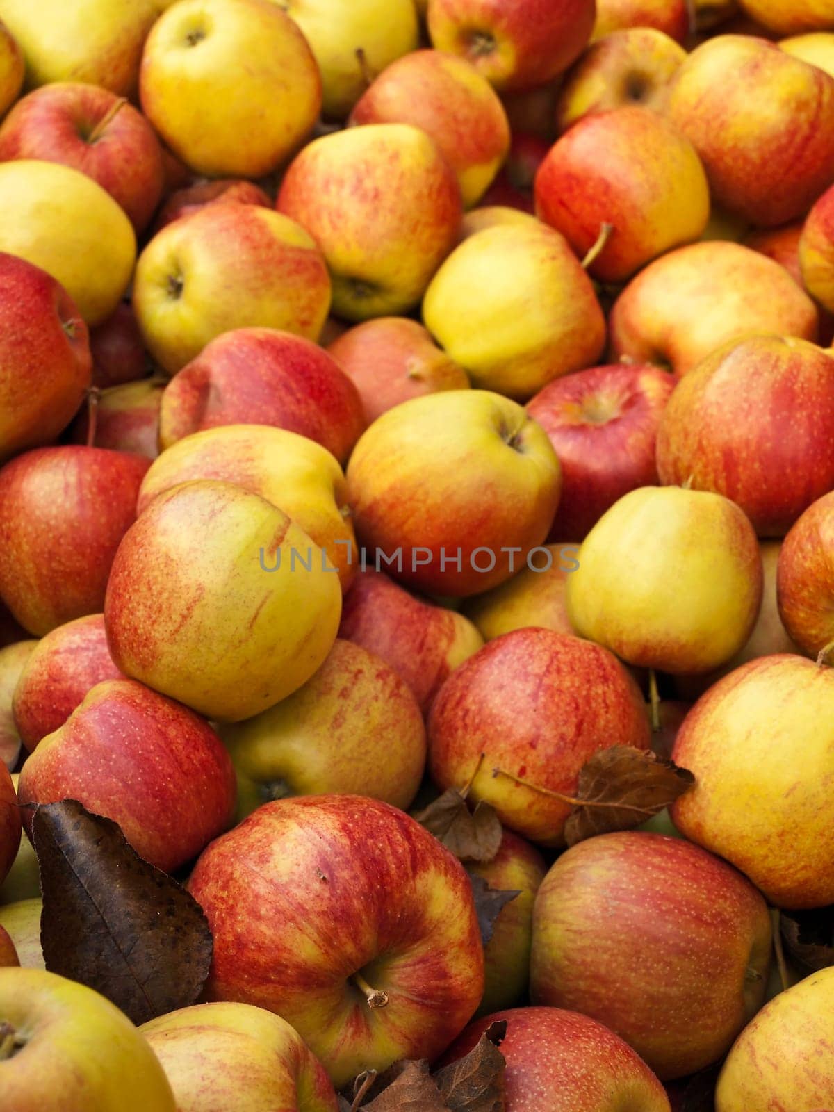 Apples without (New York)