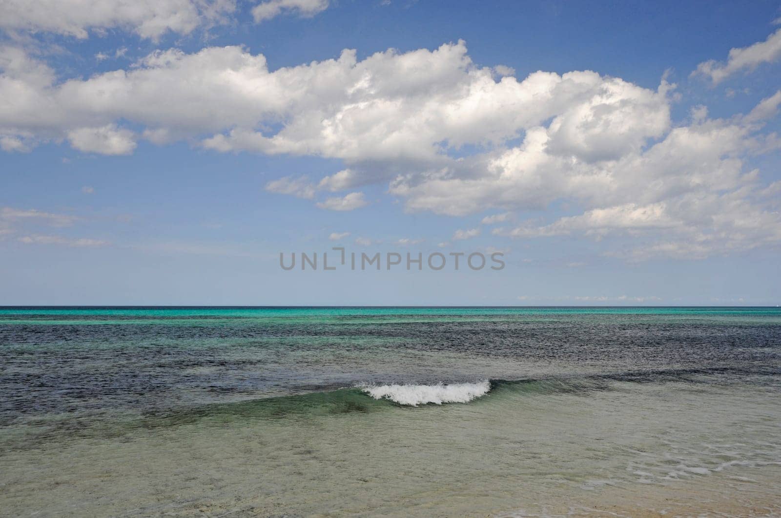 sea water without lake