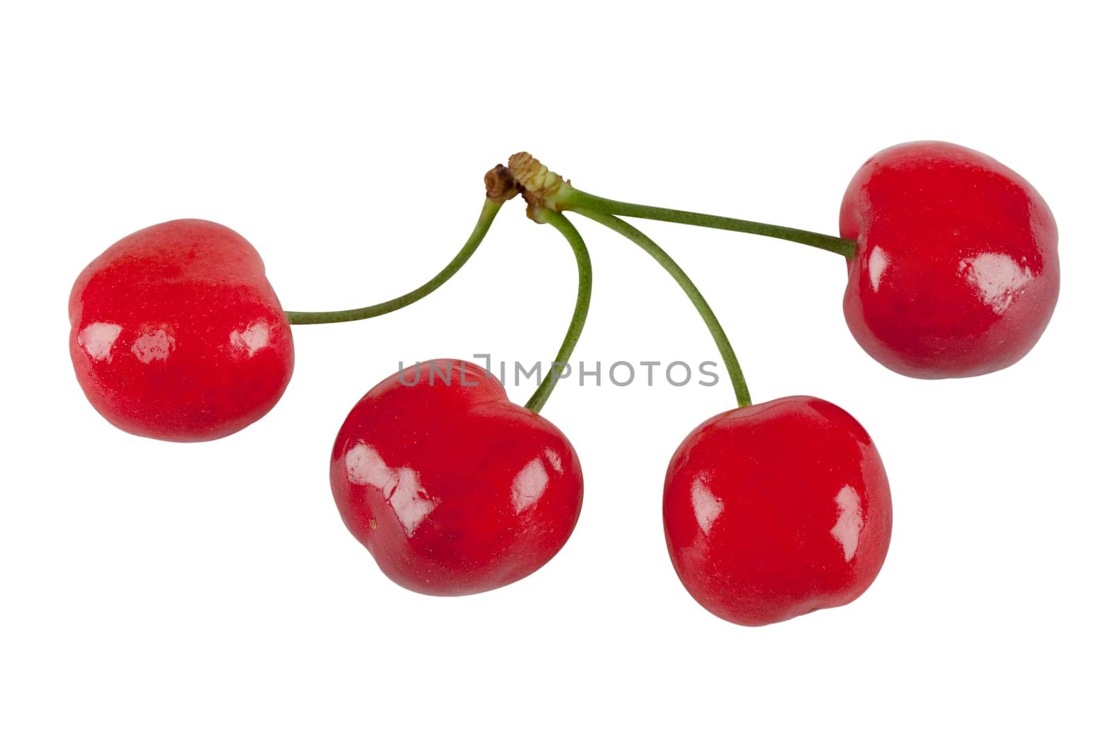 Cherries with exact pruning path