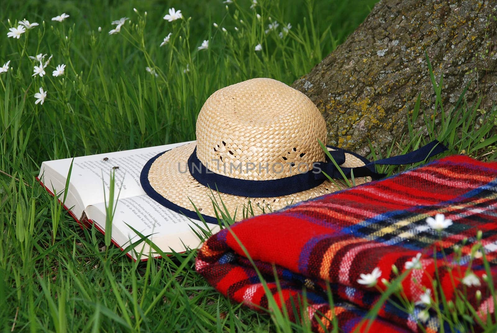 Reading outdoors