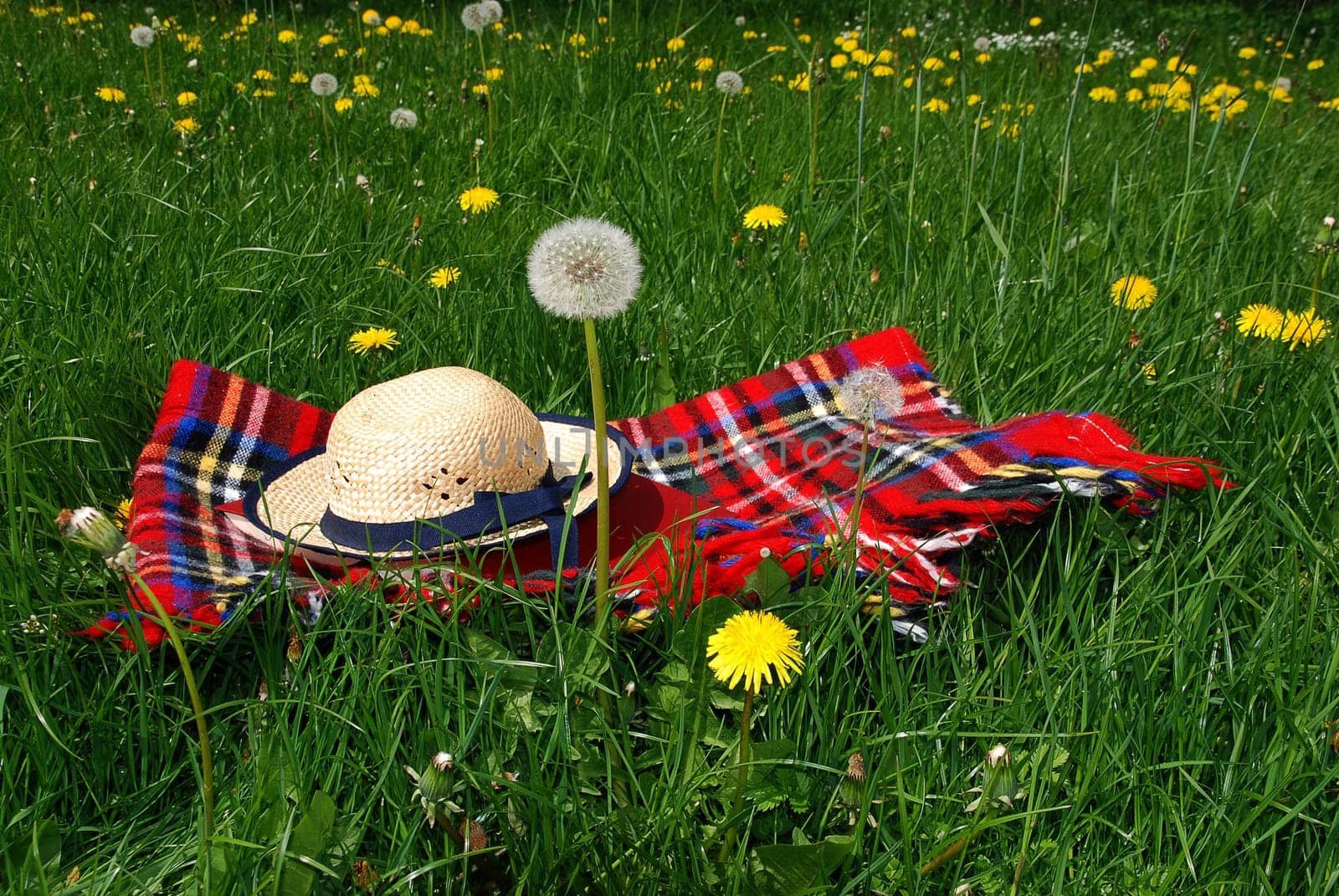 Reading outdoors