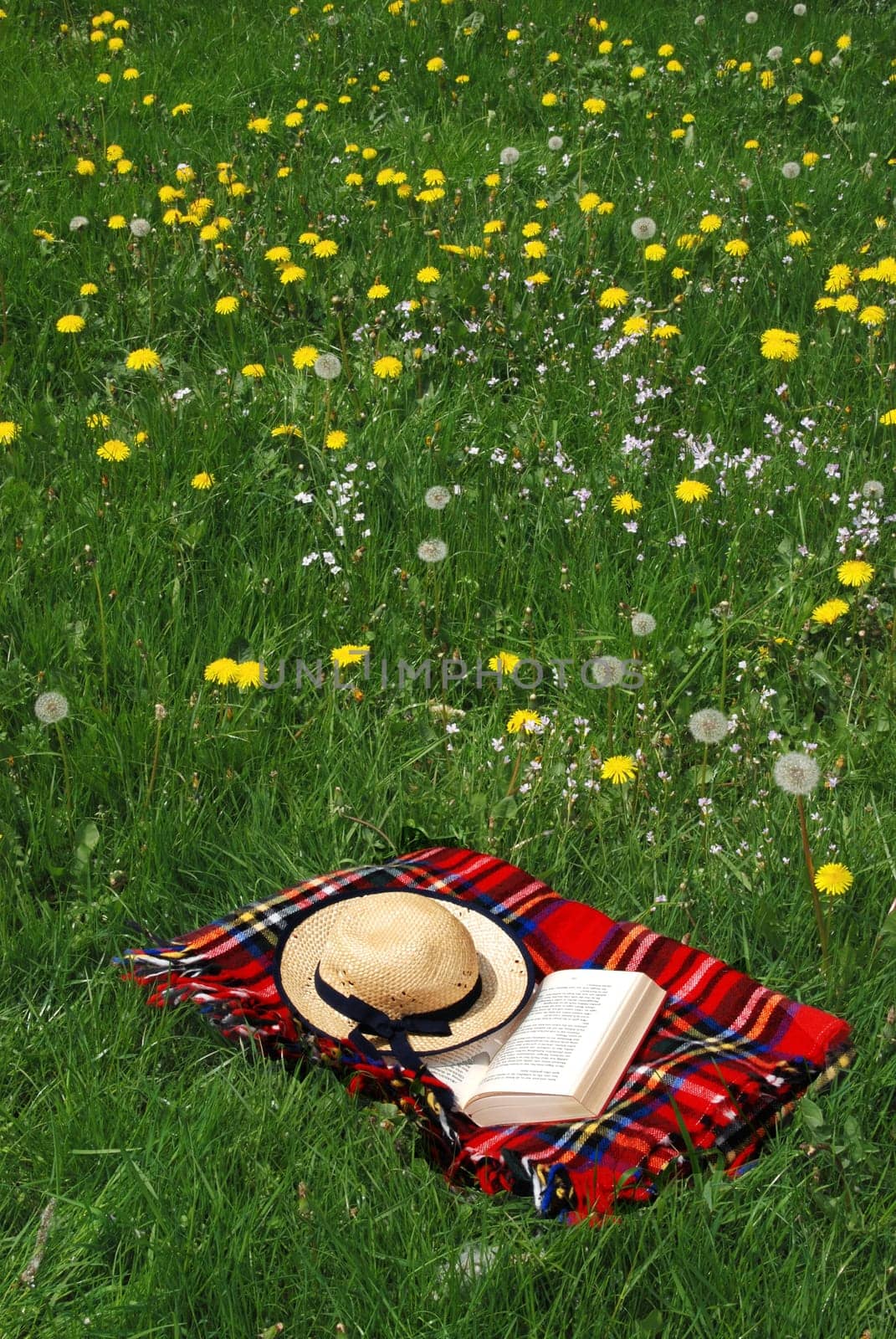 Reading outdoors