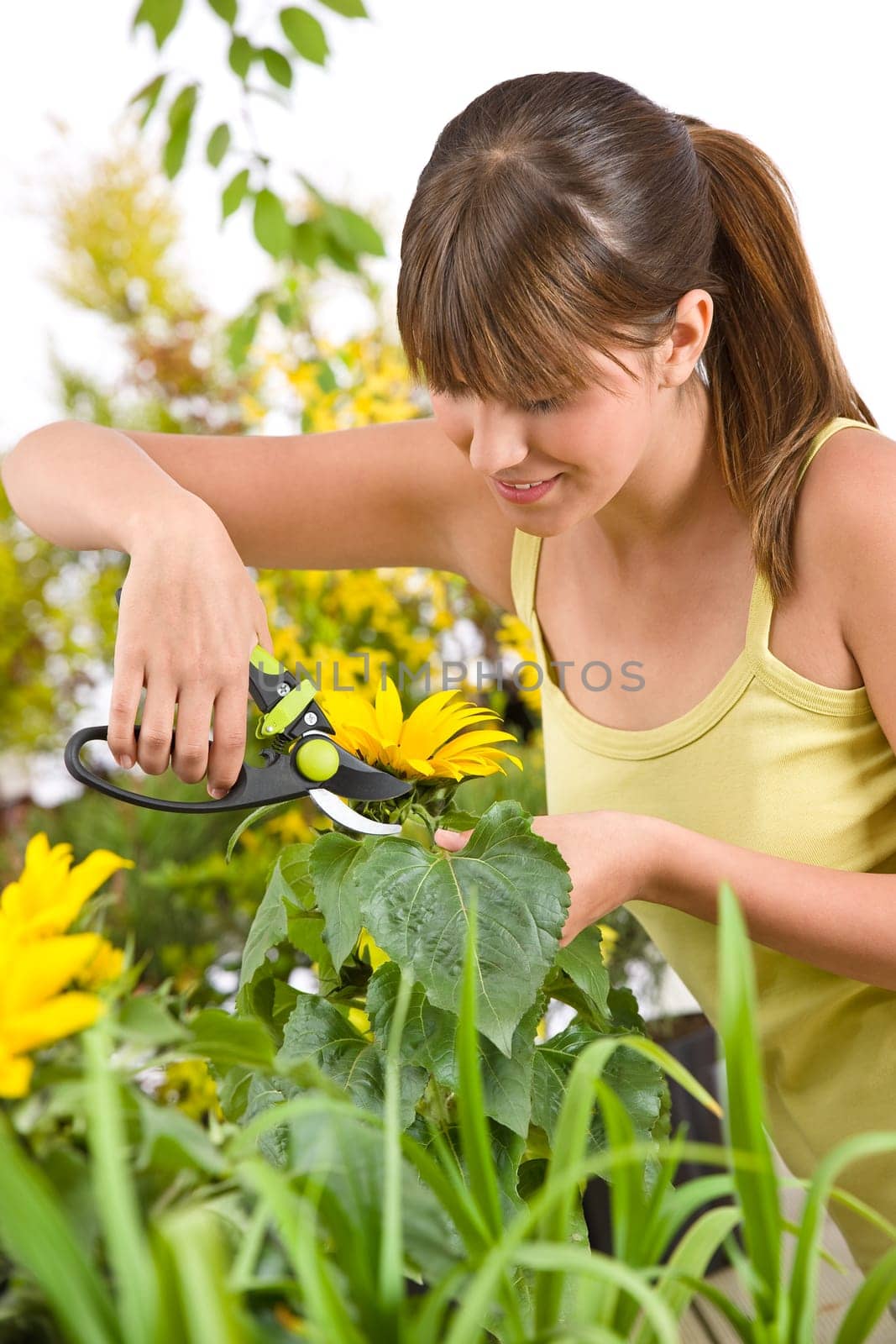 Gardening - woman cutting tree with pruning shears