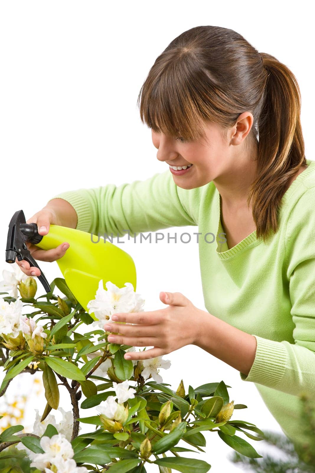Gardening - woman sprinkling water