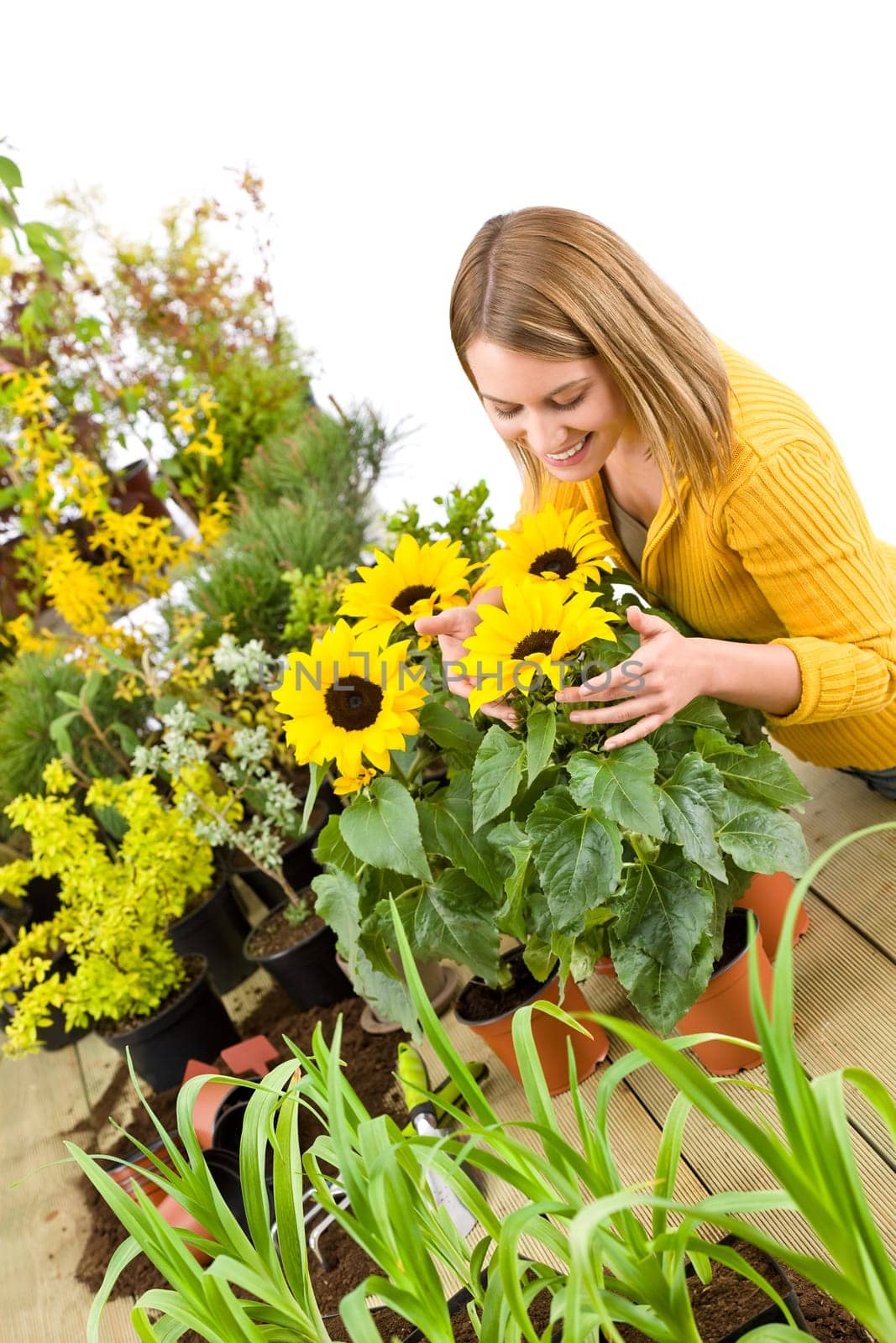 Gardening - portrait of smiling woman with sunflowers