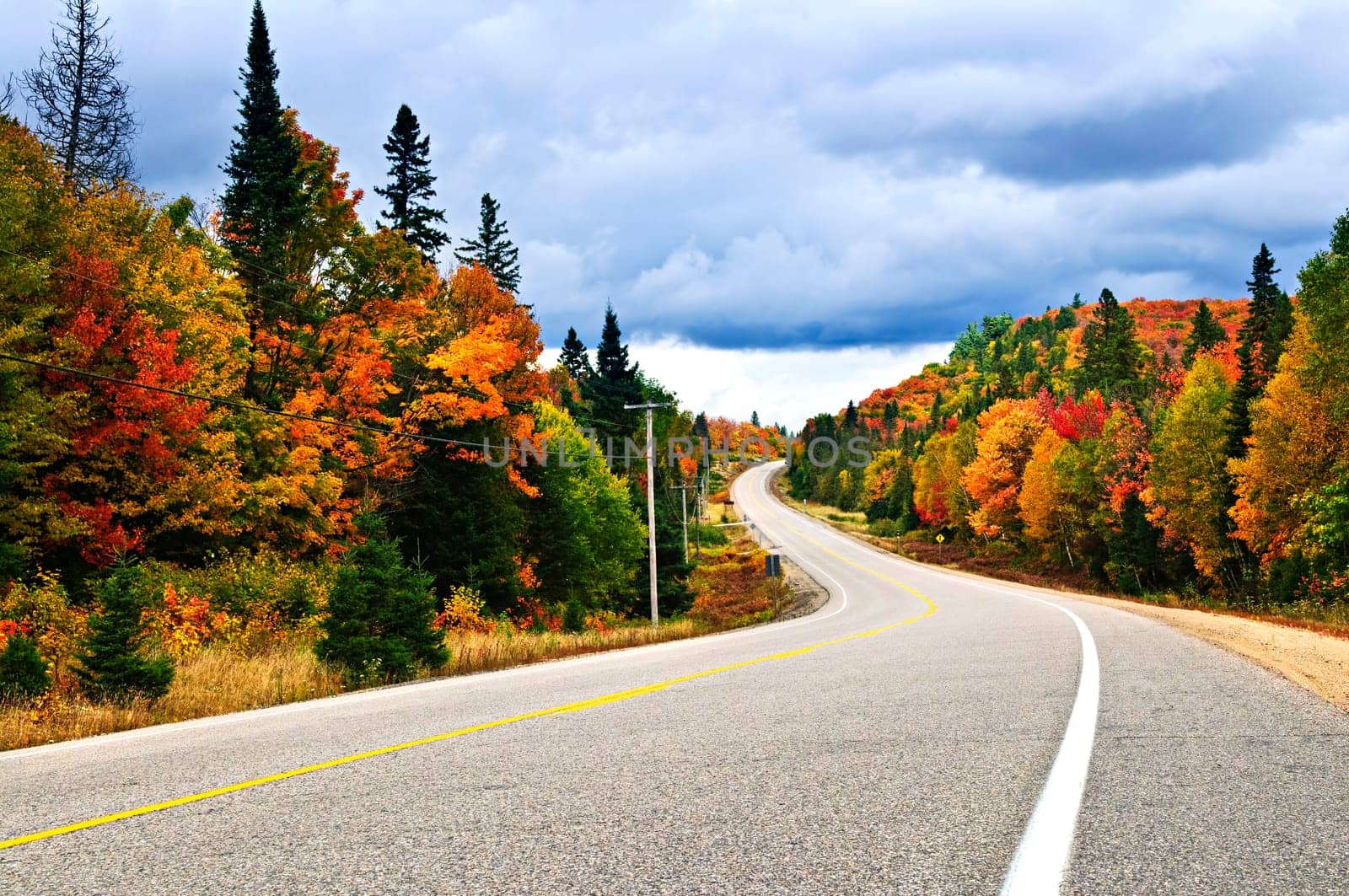 Fall highway