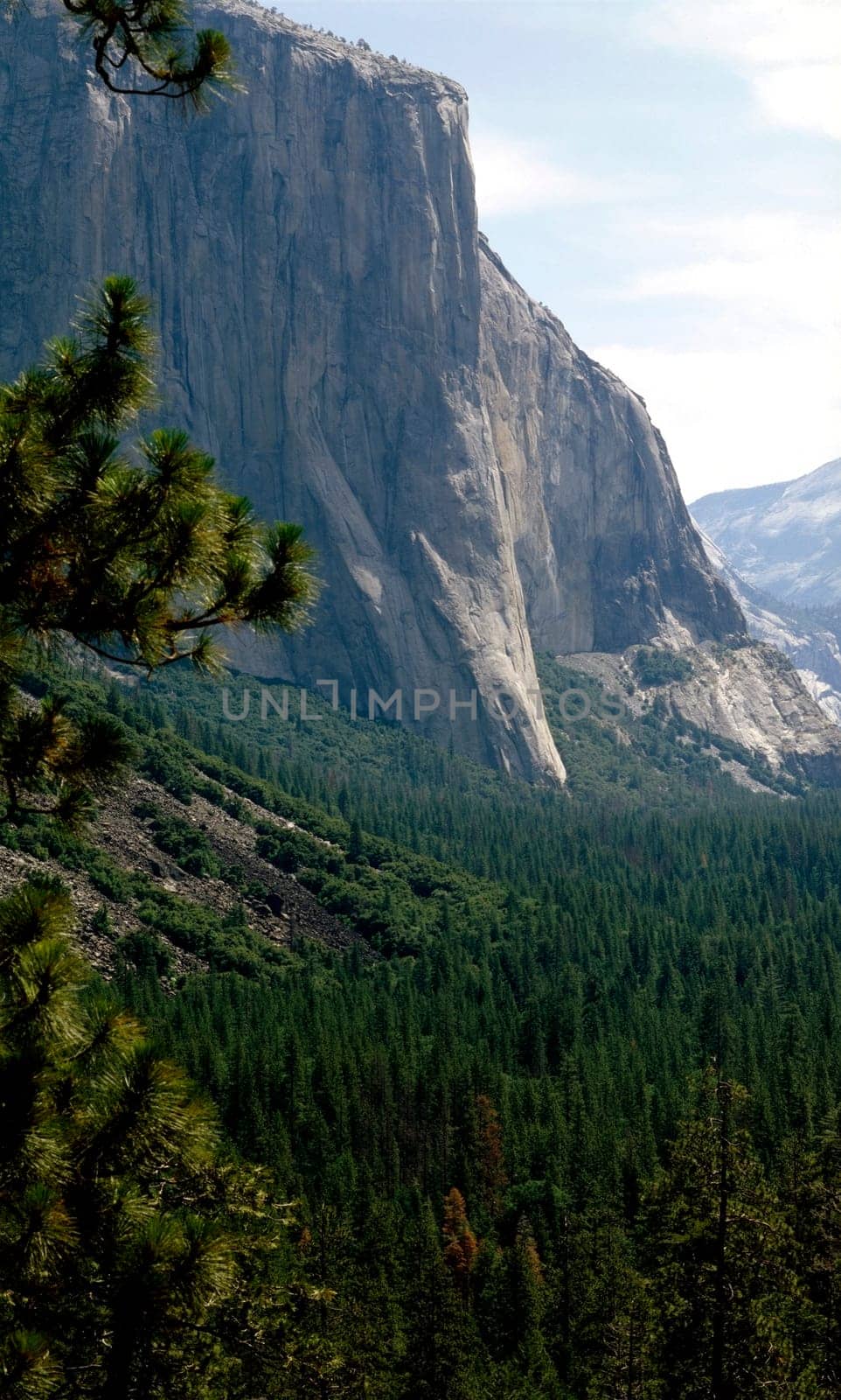 El Capitan in Yosemite National Park