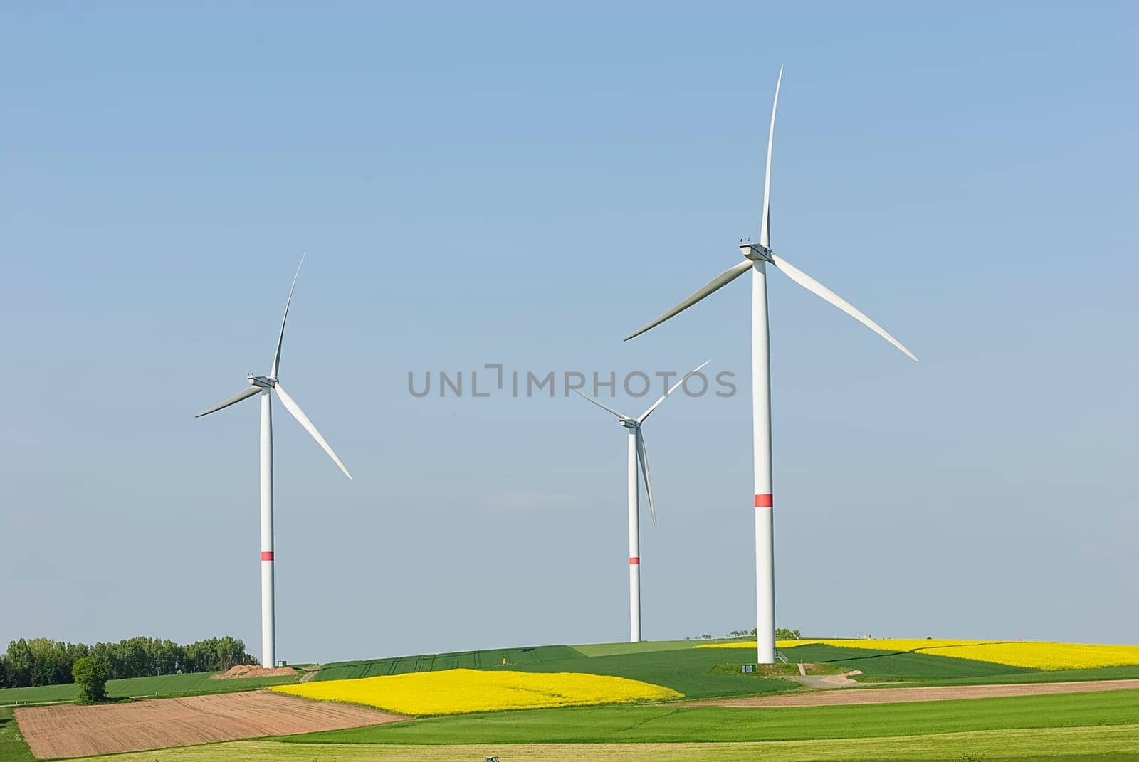 Green Energy 50