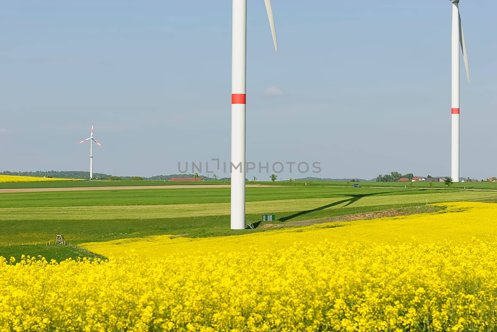 Green Energy 40