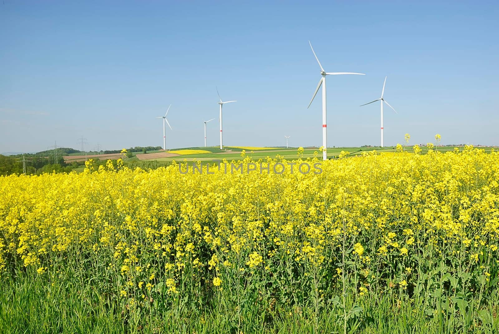 Green energy 67