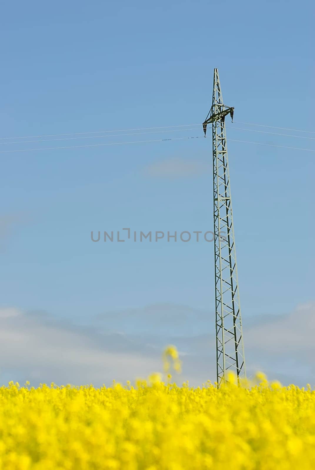 Green Energy 12