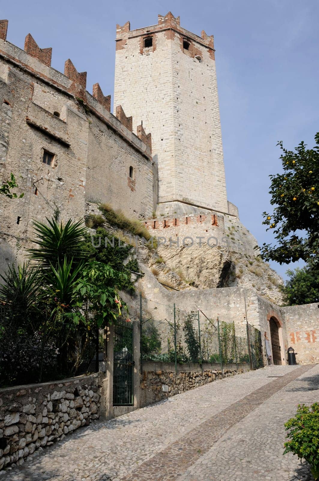 Scaliger Castle in Malcesine