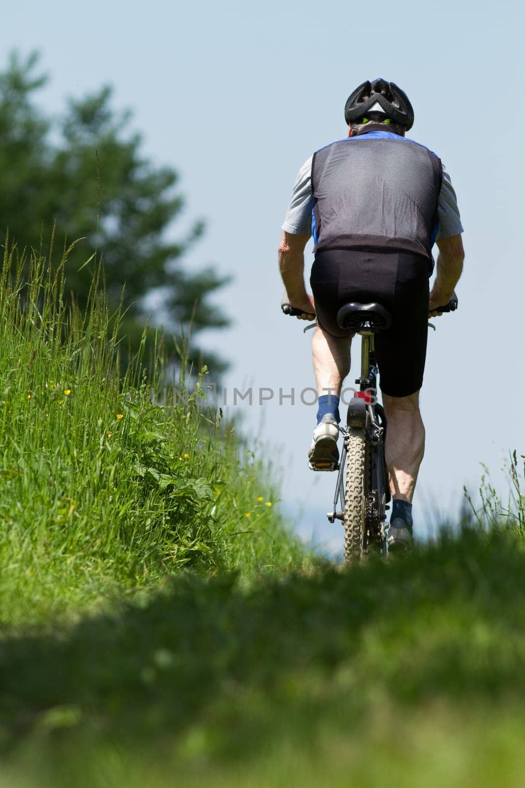 Mountain bikers
