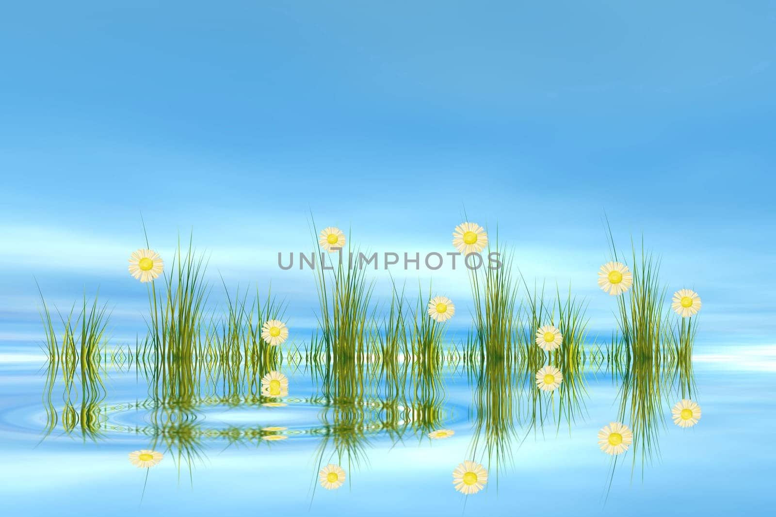 Tuft of grass with flowers