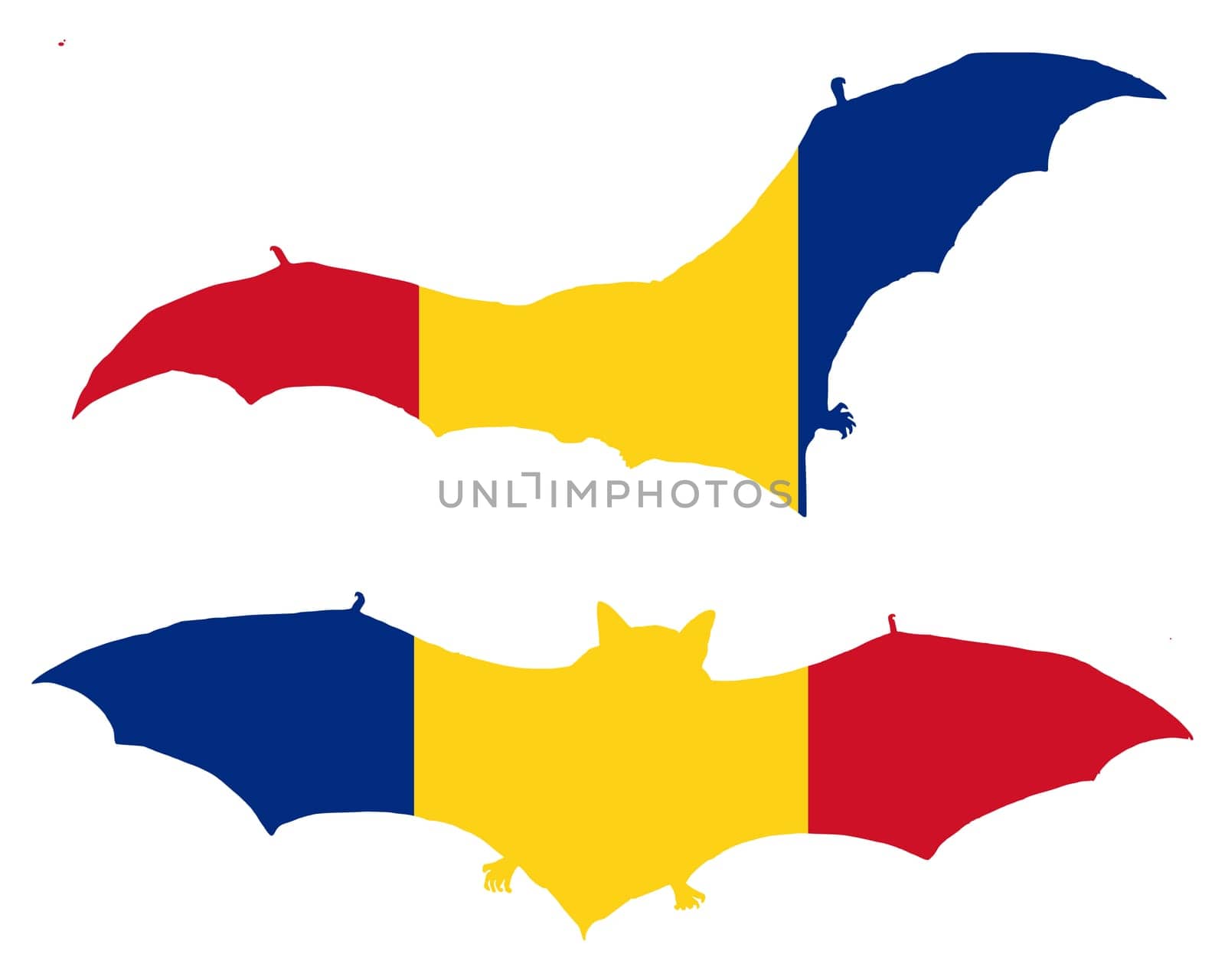 National flag of Romania with bat