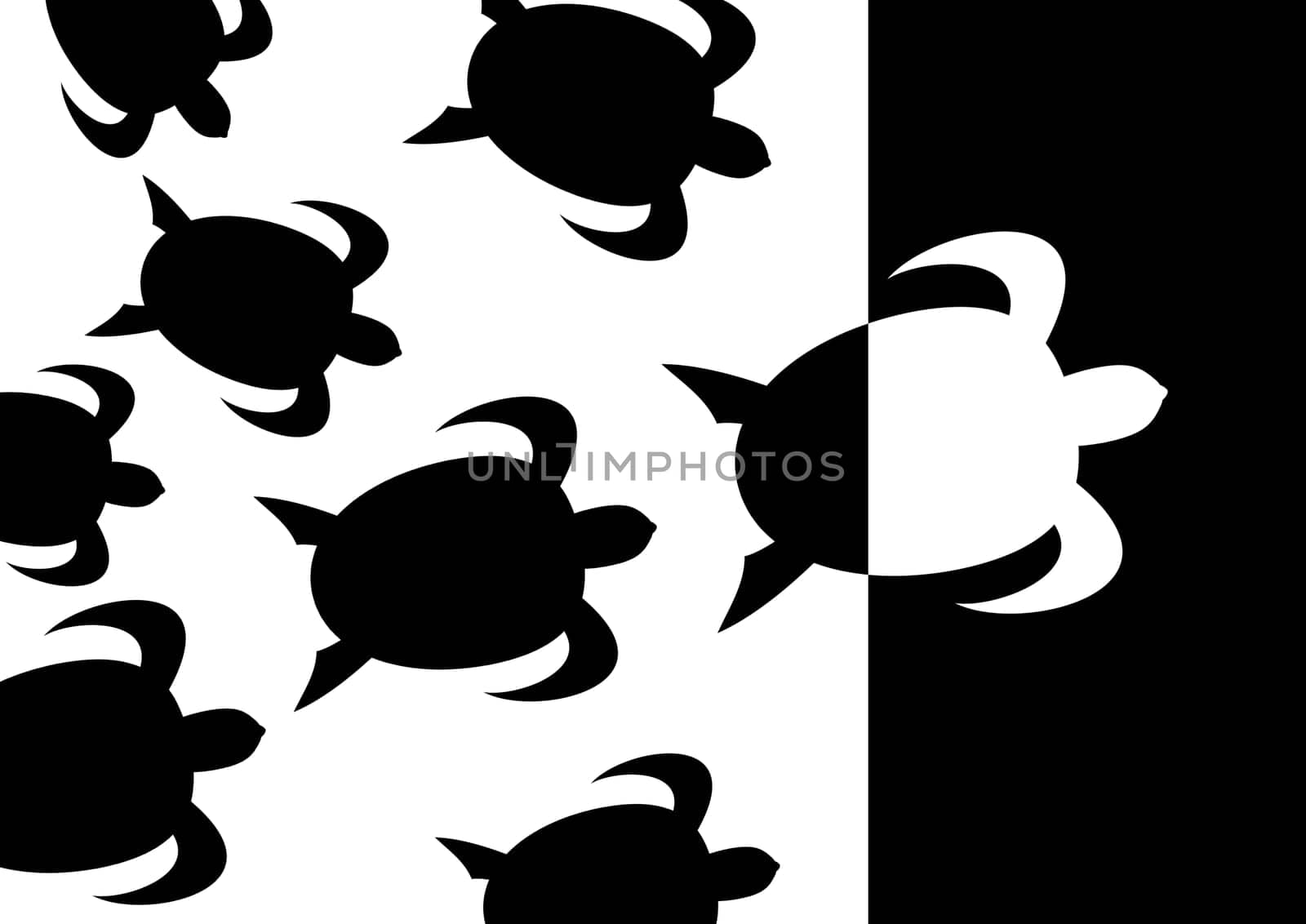Turtle migration