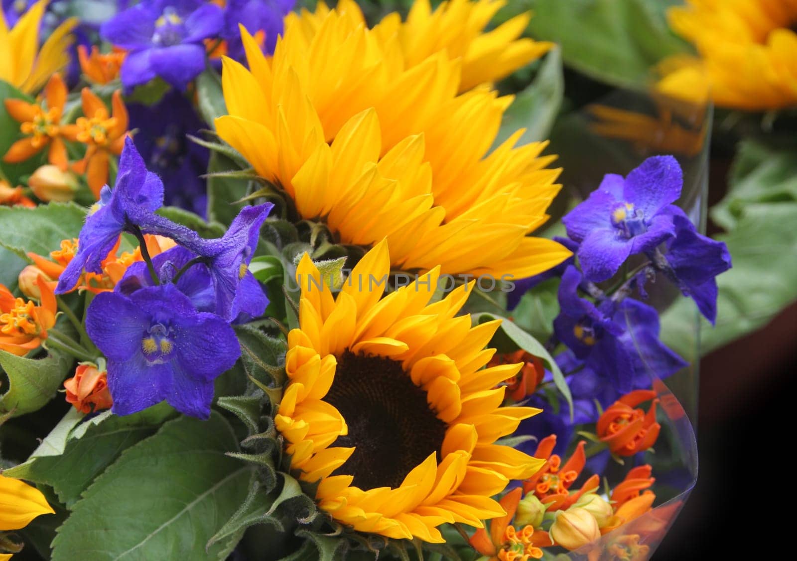Fresh sunflower bouquet