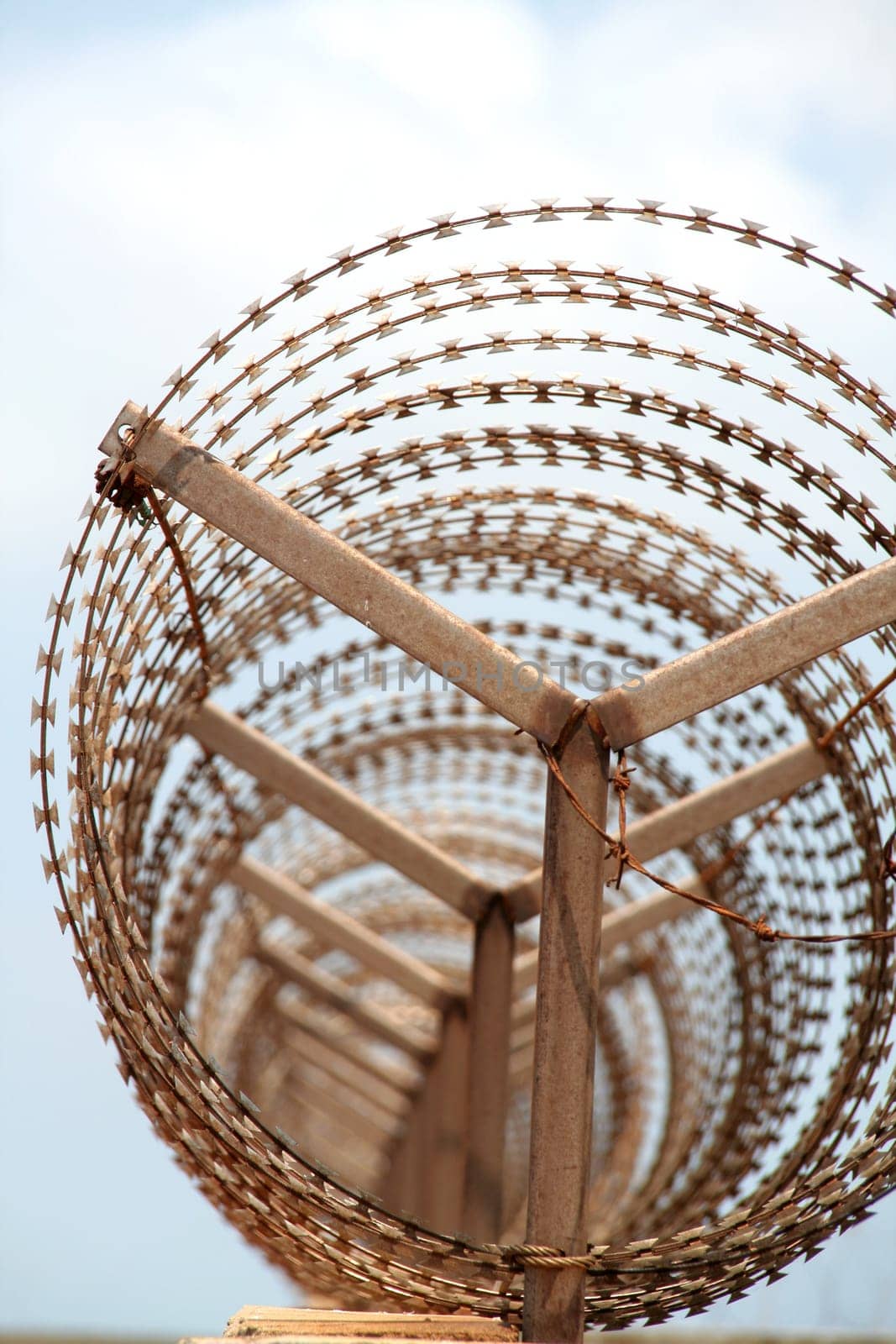 Barbed wire