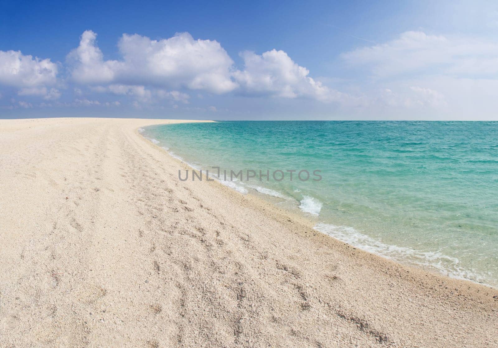 Tropical beach