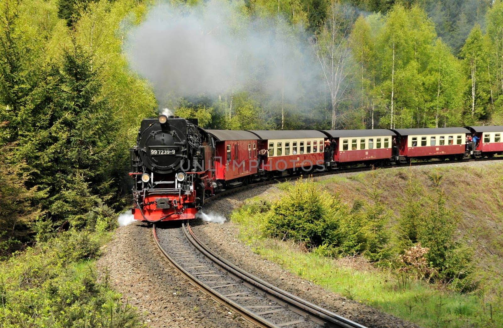Ride through the Harz Mountains