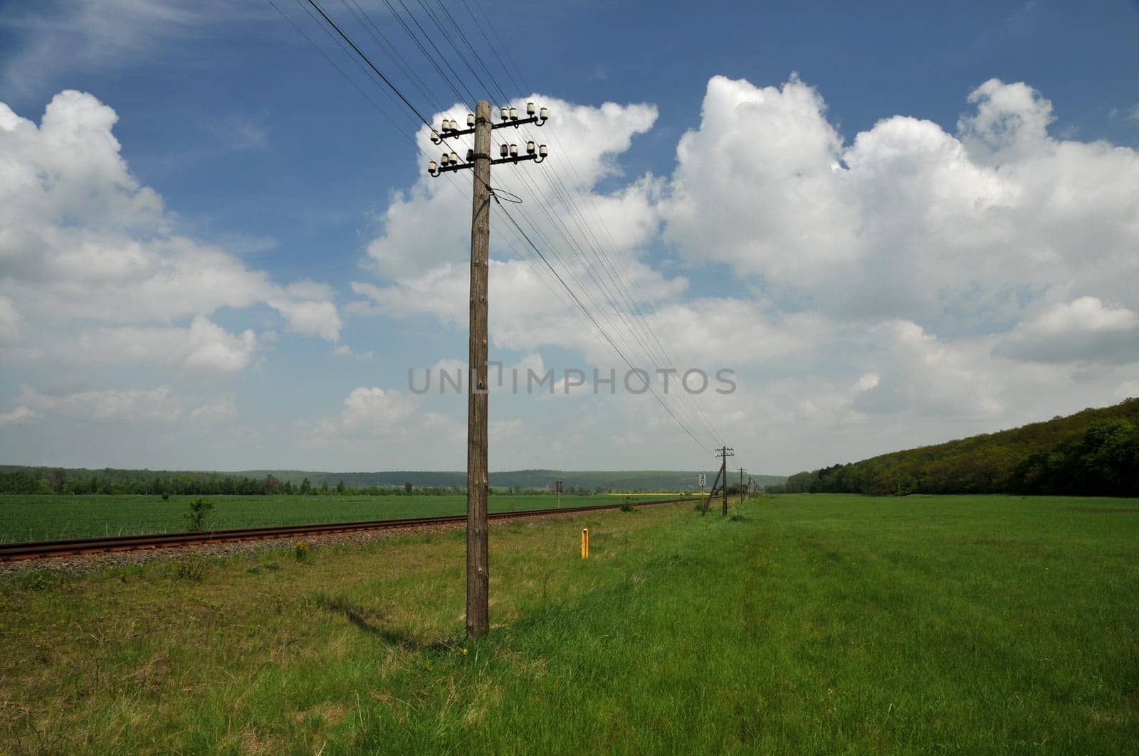 Telegraph poles