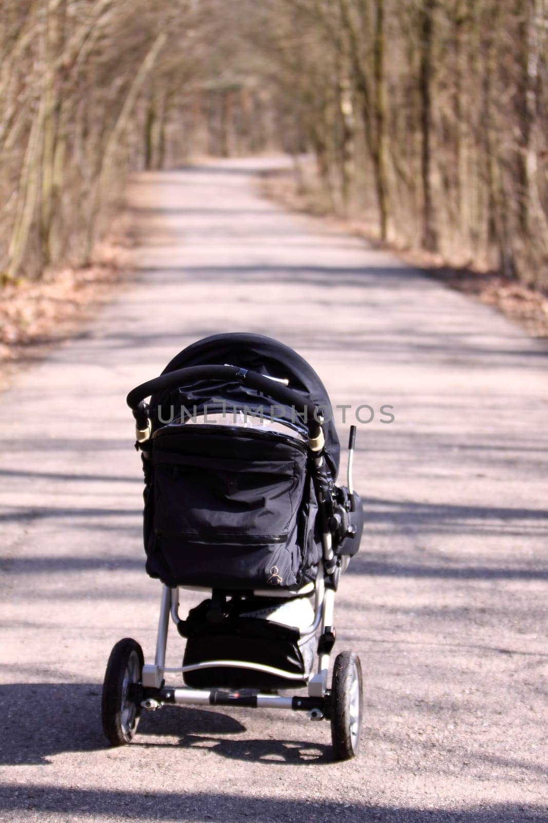 perambulator in the forest with way
