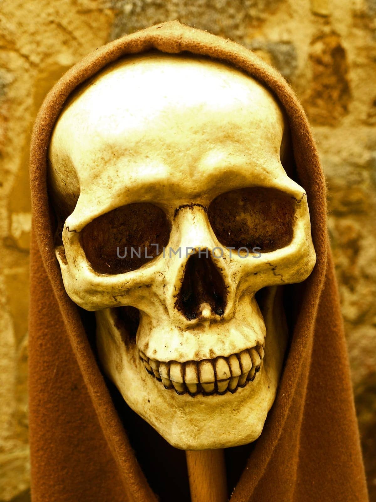 Skull