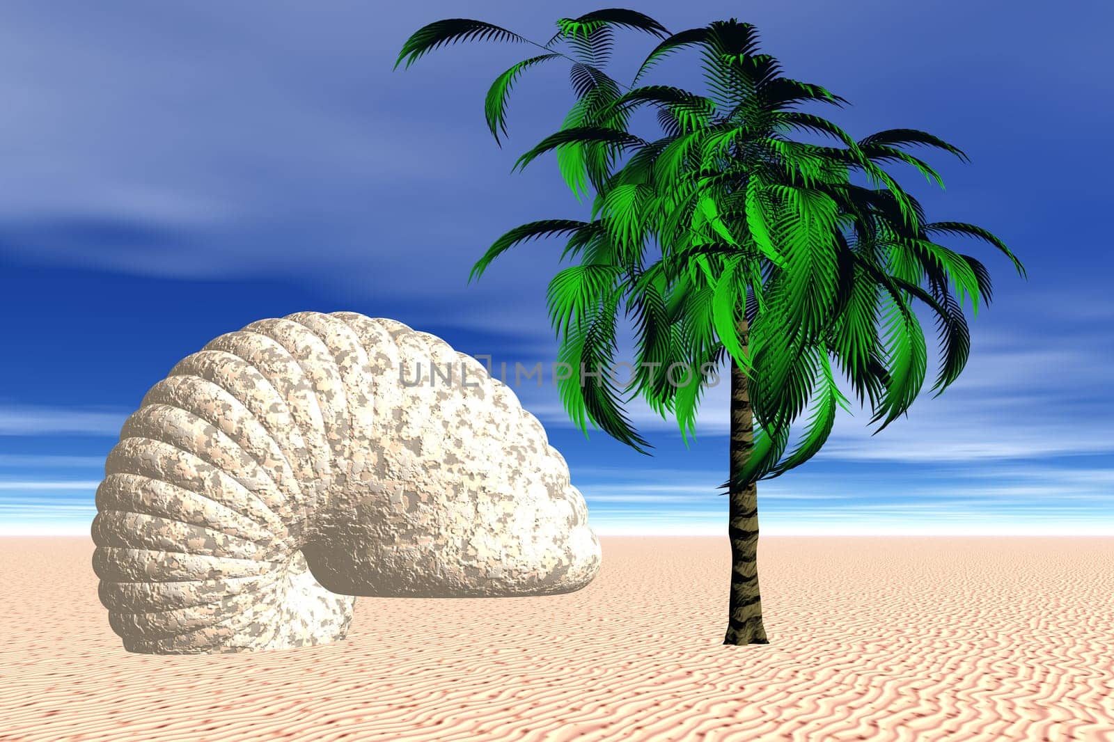 Palm tree
