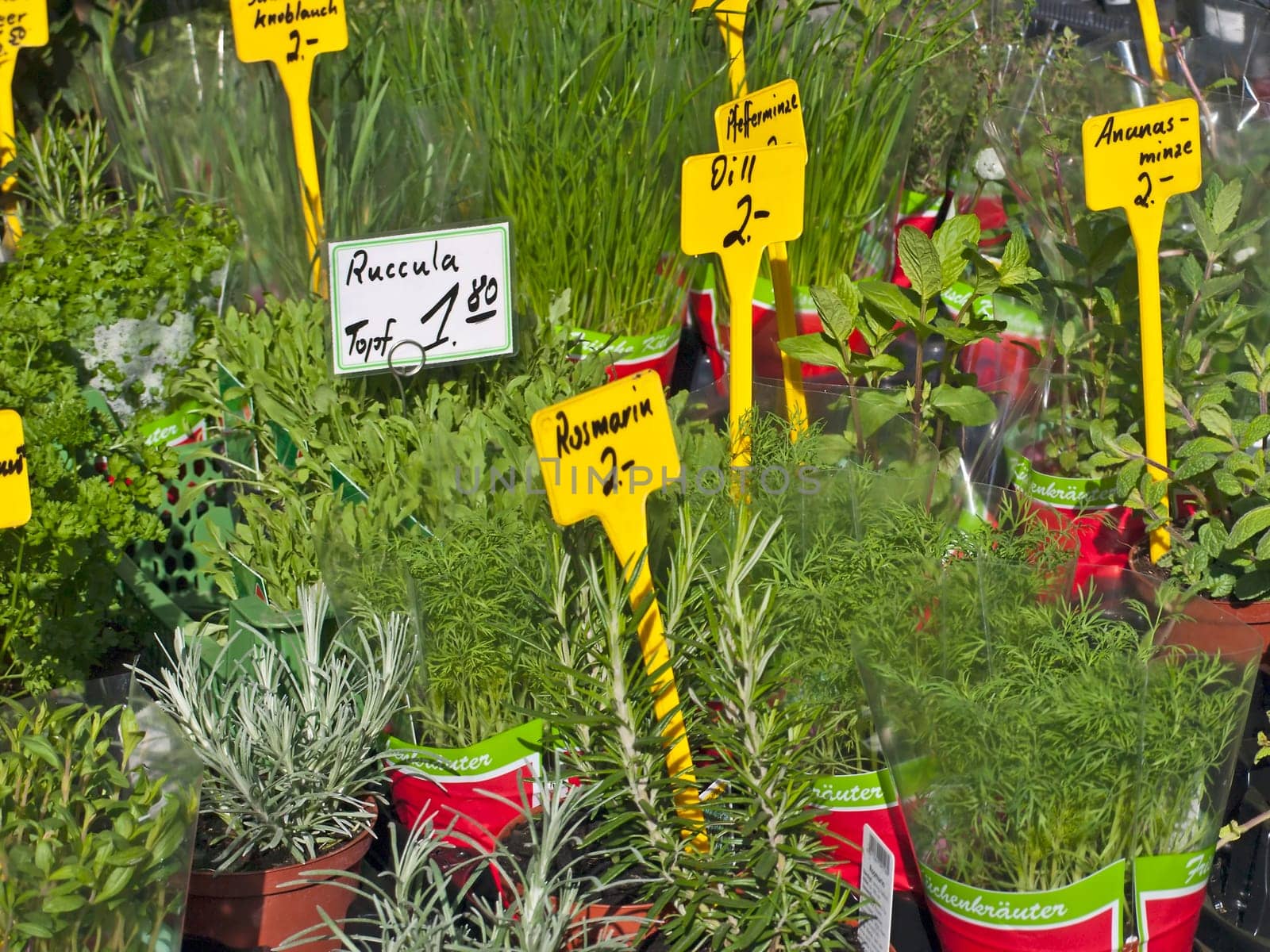 Herbs