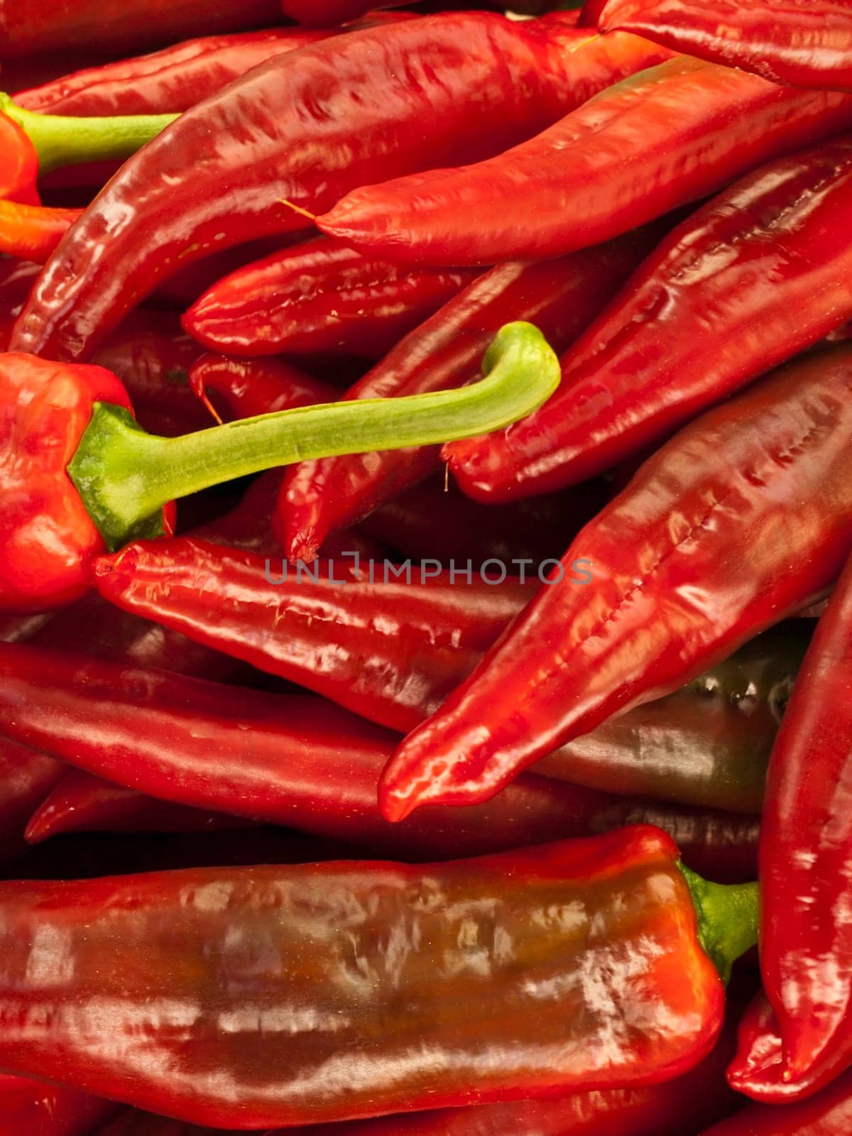 Paprika
