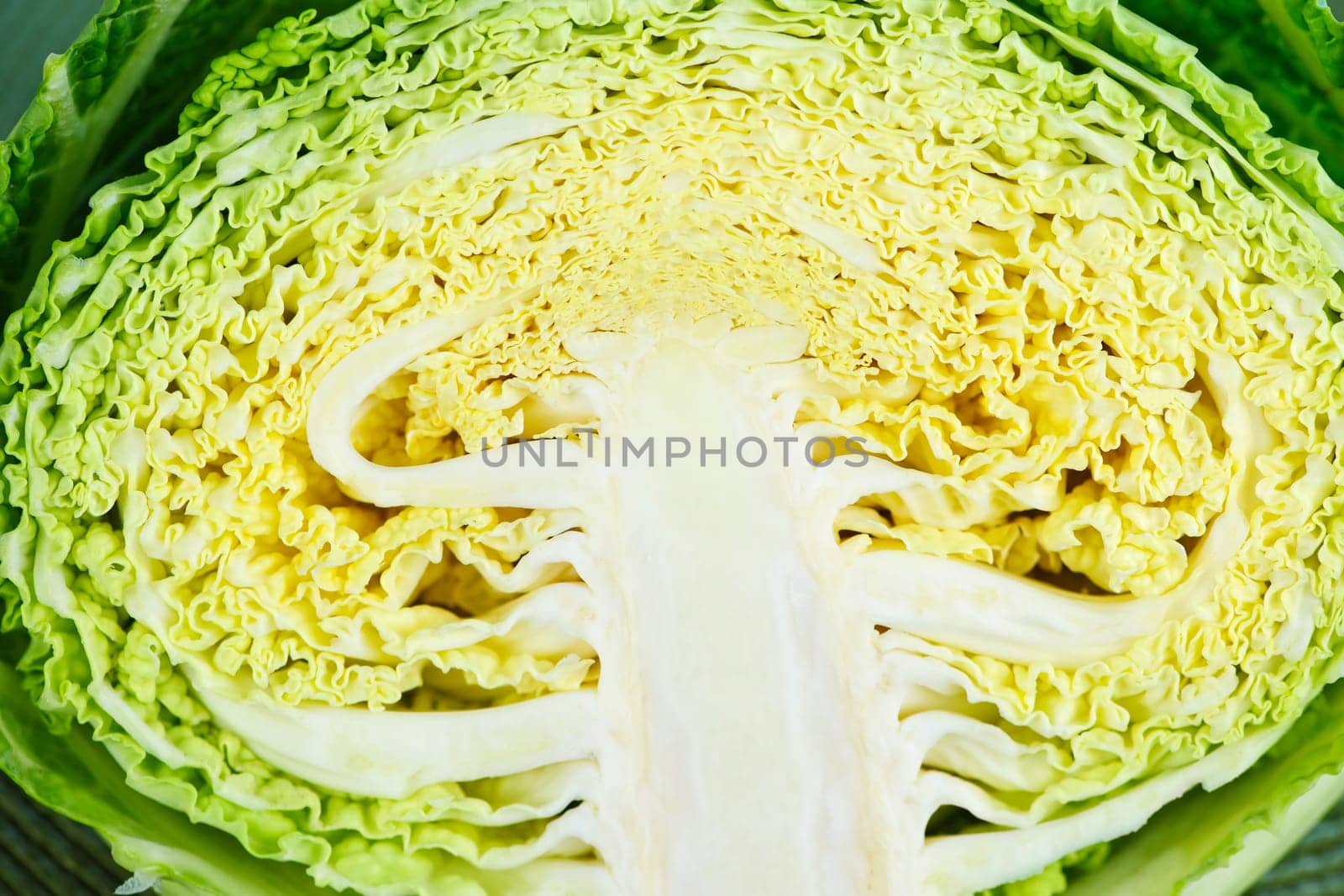 Closeup of half sliced cabbage head