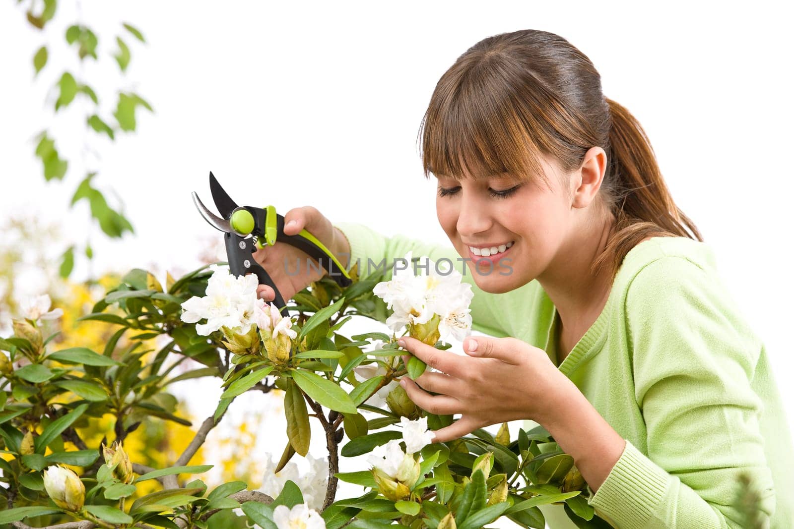 Gardening - woman cutting flower with pruning shears