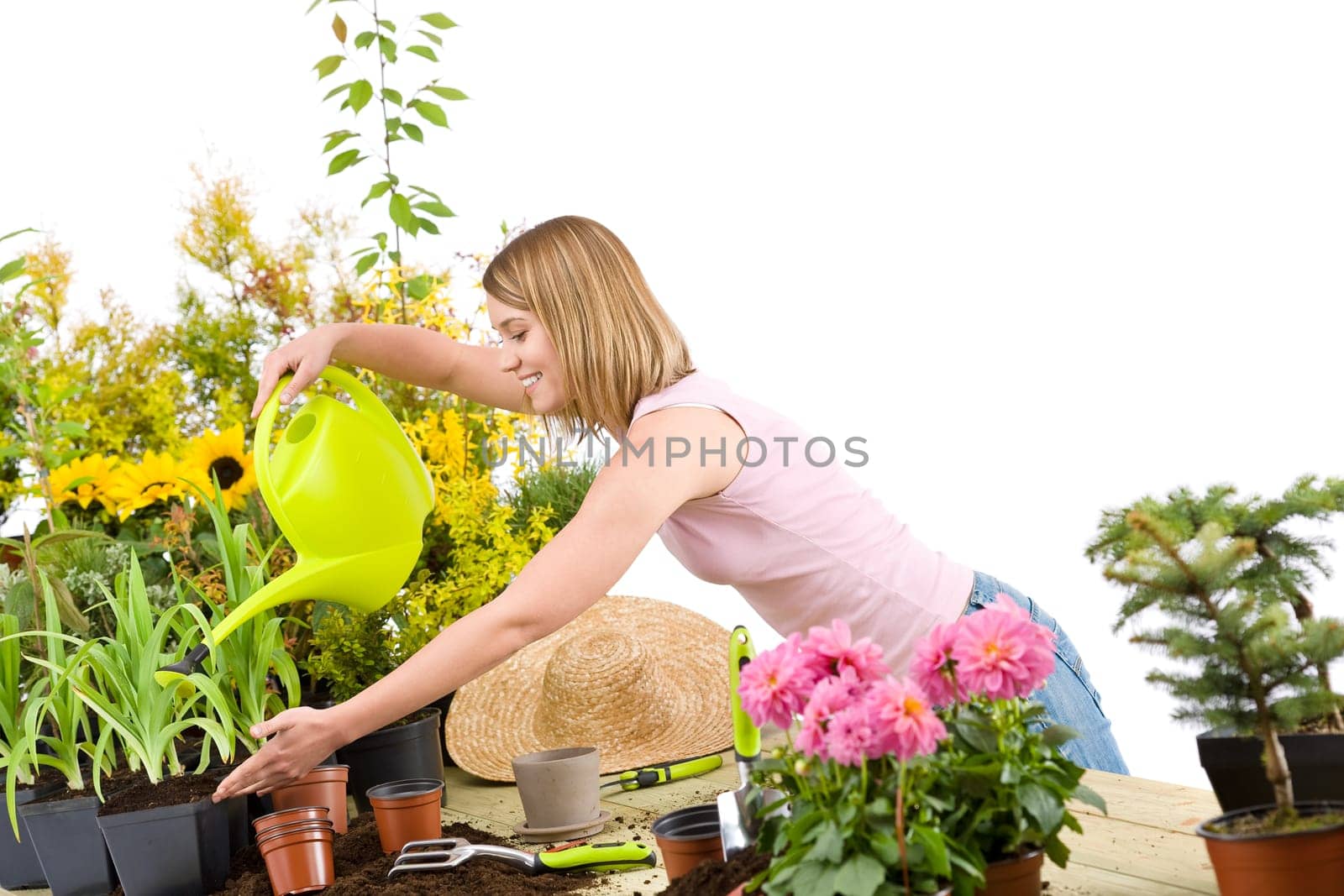 Gardening - woman pouring water to plant