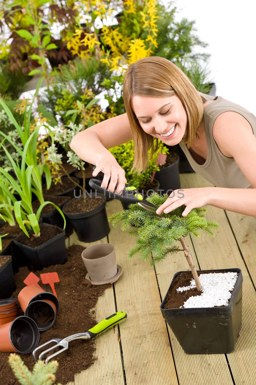 Gardening - woman trimming bonsai tree