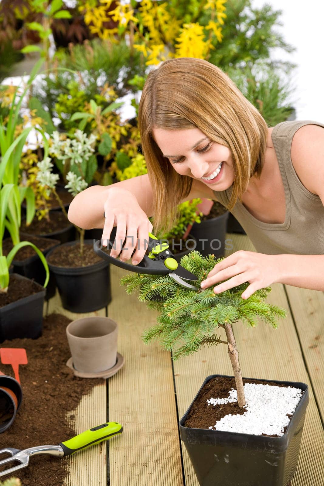 Gardening - woman trimming bonsai tree