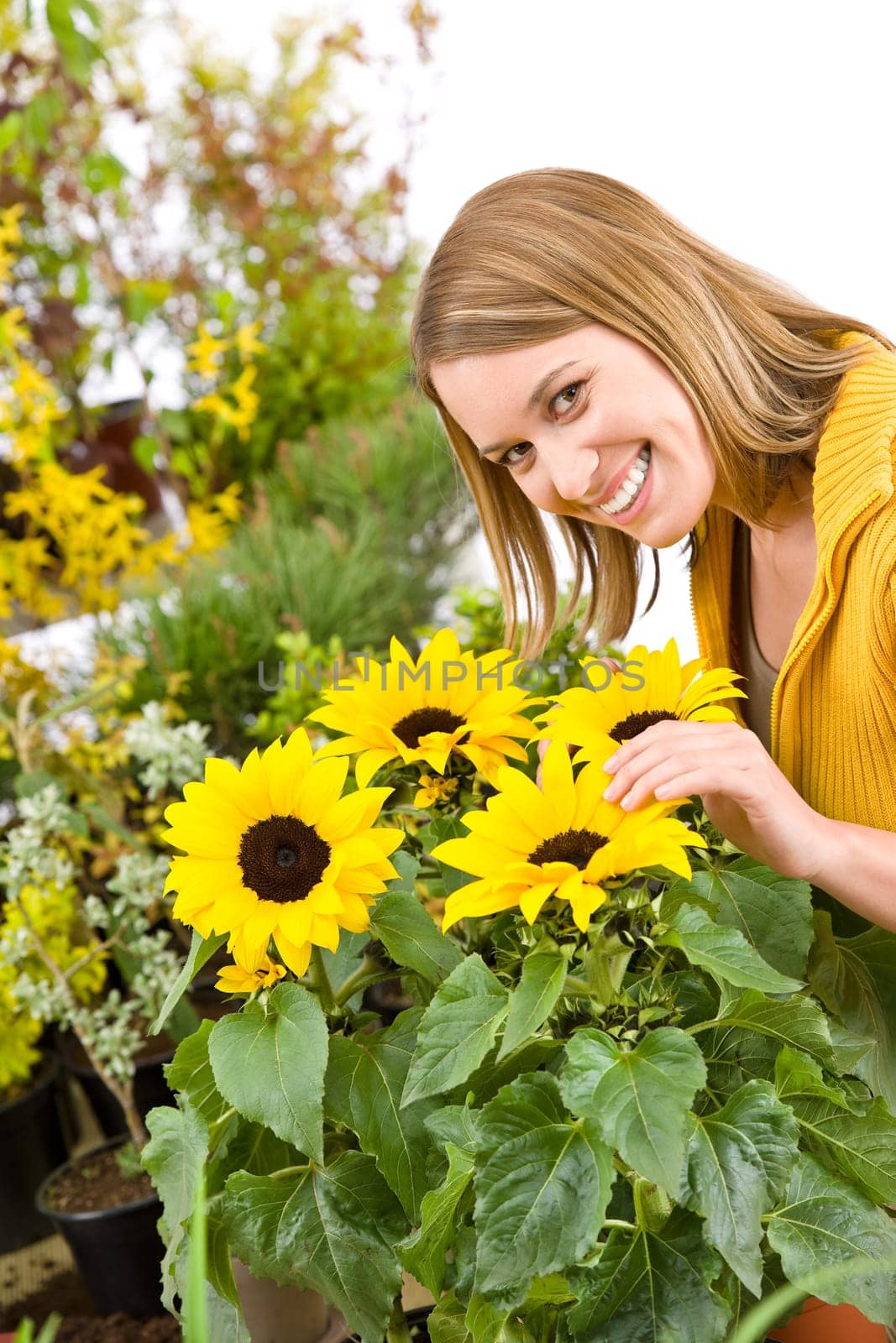 Gardening - portrait of woman with sunflowers