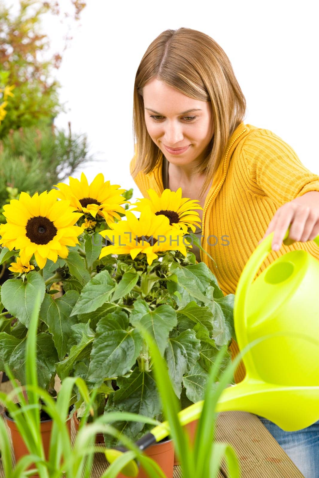 Gardening - woman pouring flowers